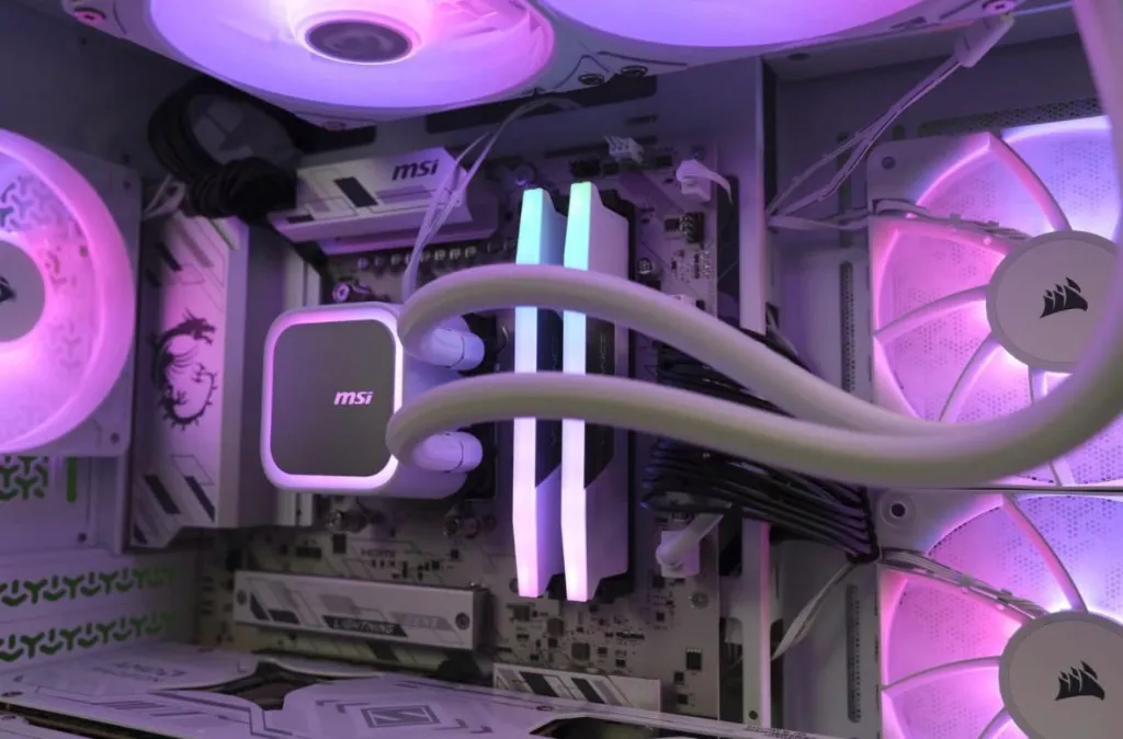 WhatsApp Image 2026-01-16 at 22.54.20 (1).webp